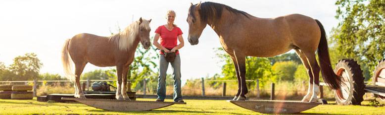 Nina Steigerwald and her horses