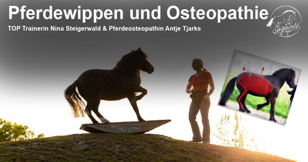 Horse rockers & osteopathy