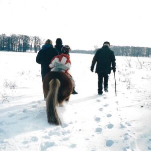 Amadeus riding in winter